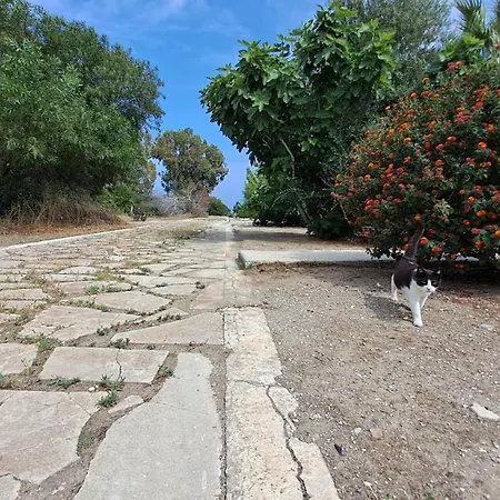 Yialos Cozy Beach House * Ларнака