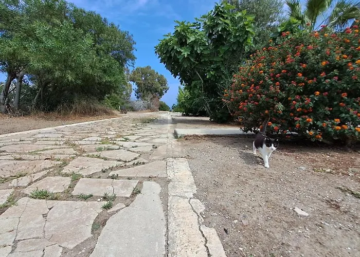 Yialos Cozy Beach House * Larnaca